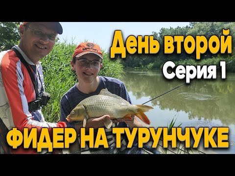 Видео: Клёв на счёт Три!!! Дядя Фёдор ловит классическим фидером на Турунчуке!