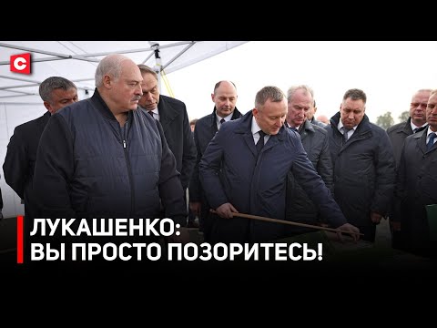 Видео: Лукашенко: ОБНАГЛЕЛИ ДО КРАЙНЕЙ СТЕПЕНИ! | Президент на птицефабрике