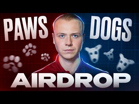 Видео: Paws | Как получить аирдроп от новой тапалки в Telegram | PAWS