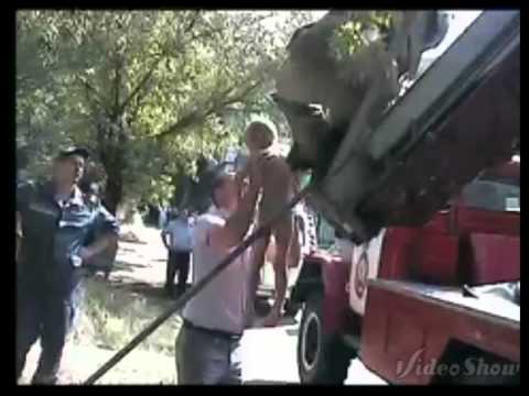 Видео: Ветеранам пожарной охраны
