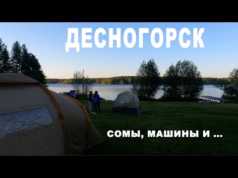 Видео: Подводное приключение в Десногорске: дайвинг, сомы и загадочные руины