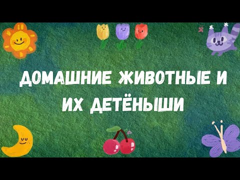 Видео: Тема 16. Домашние животные и их детёныши.