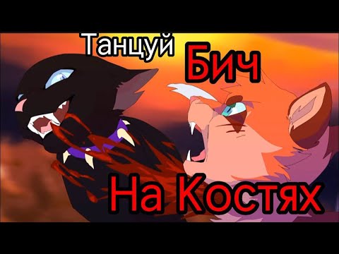 Видео: Коты Воители Бич Клип — Танцуй на костях Заказ
