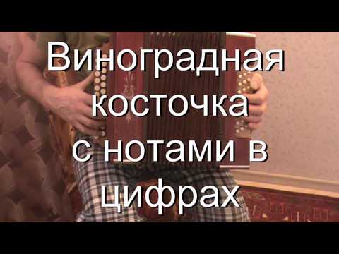 Видео: Косточка с нотами в цифрах