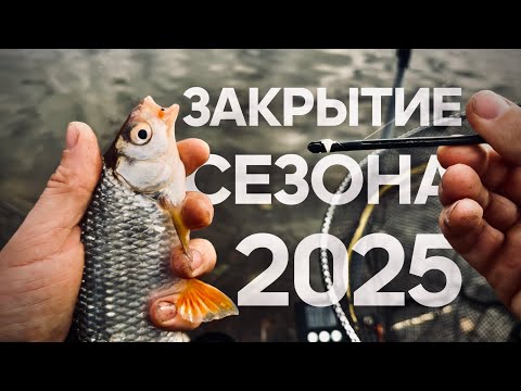 Видео: Закрываем сезон фидера! РЫБАЛКА. ОСЕНЬ. ПОКЛЕВКА.