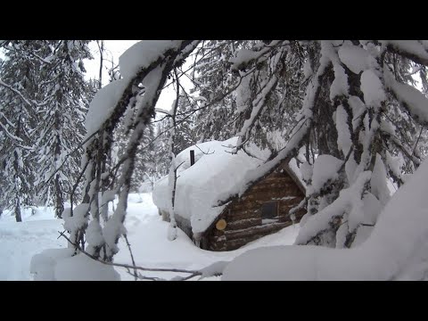 Видео: 17 дней в тайге в глухозимье. Закрытие пушного сезона. Часть 2