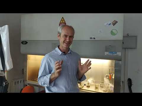 Видео: Технология in vitro. Как всё начинается. Часть 1.