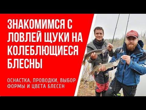 Видео: Основы ловли щуки спиннингом на колеблющиеся блесны