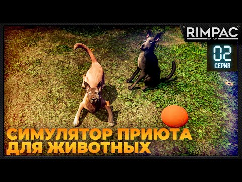 Видео: Animal Shelter _ У нас появились собачки! _ #2 _ Энимал шелтер игра