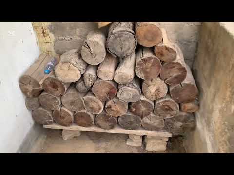 Видео: 30.04.2025 йил КОРНИНГ СОВУГИ 🥶🌺🐥🤔