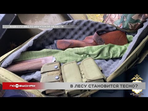 Видео: Число браконьеров растёт в Иркутской области