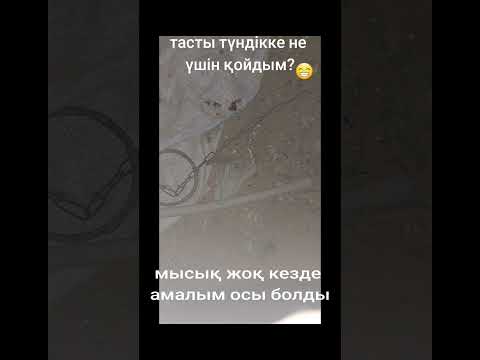 Видео: 28 декабря 2023 г.