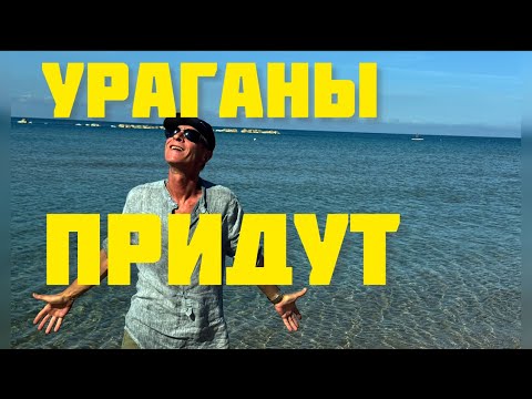 Видео: Умейте ценить каждый такой день!Последние дни покоя .И я тут.