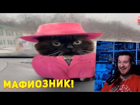 Видео: ЗАСМЕЯЛСЯ - ПОДПИСАЛСЯ!! ЛУЧШИЕ ПРИКОЛЫ 2022 ТЕСТ НА ПСИХИКУ УГАР! #310 - РЕАКЦИЯ НА СОЮЗ СМЕХА