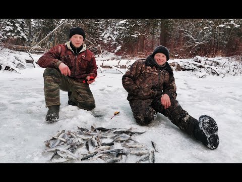 Видео: В тайгу за хариусом. Таёжные реки Сибири.