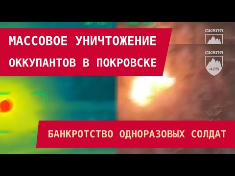 Видео: Массовое уничтожение оккупантов в Покровске. ВСУ освободили село на Днепропетровщине