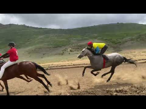 Видео: Скачки в Буйнакске 09.05.2024. 3200м