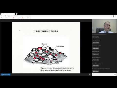 Видео: Средства, влияющие на кровяную ткань