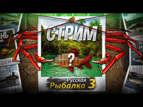 Видео: РР3 Турнир Червяк Кола + Мутанты