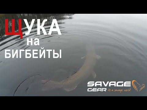 Видео: Трофейная щучья рыбалка с крупными приманками Savage Gear / ЩУКА на СВИМБЕЙТЫ