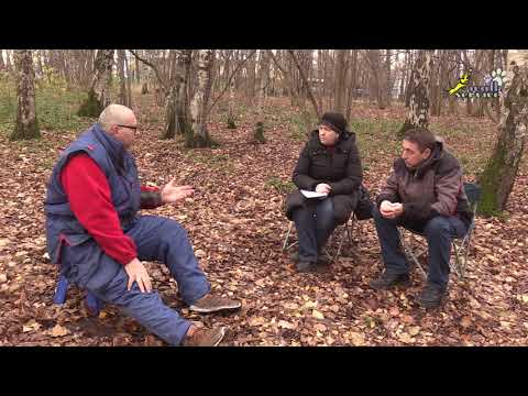 Видео: Консультация по дрессировке ризеншнауцера, ответы на вопросы владельцев