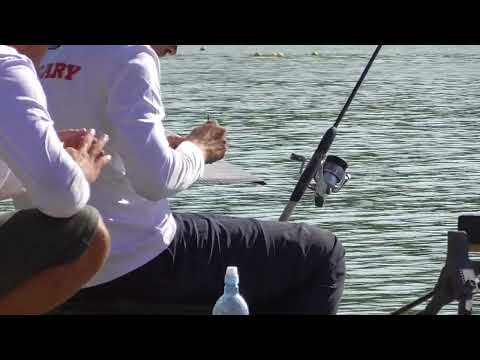 Видео: ЕП.15   2024 09 14 Пловдив световно метод фидер Péter Bakó 4