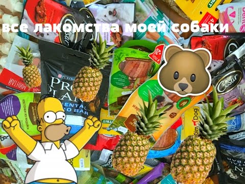 Видео: Все лакомства моей собаки;)
