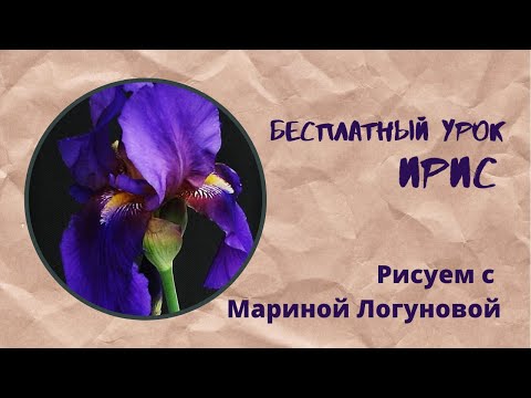 Видео: Ирис акварелью/ Как нарисовать цветок ириса акварелью?