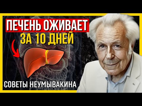 Видео: Печень оживает за 10 дней: реальные шаги по восстановлению печени от Неумывакина