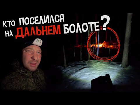 Видео: 24 ЧАСА В ЗИМНЕМ ЛЕСУ | Заплутал на бескрайнем болоте