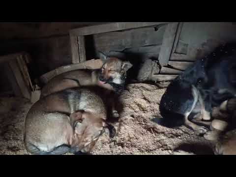 Видео: Херсонщина 30 ноября 2025 года 