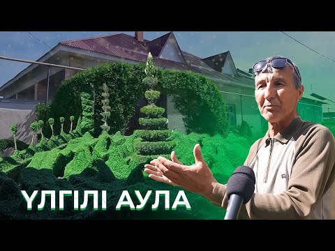 Видео: Түркістандағы үлгілі аула