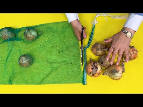 Видео: Суперпереработка выброшенных луковых сеток! | Обязательно посмотрите это