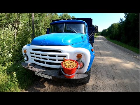 Видео: За грибами на ЗИЛ-130!!! Нашел много грибов в лесу около ручья! Сибирская тайга и красоты севера!