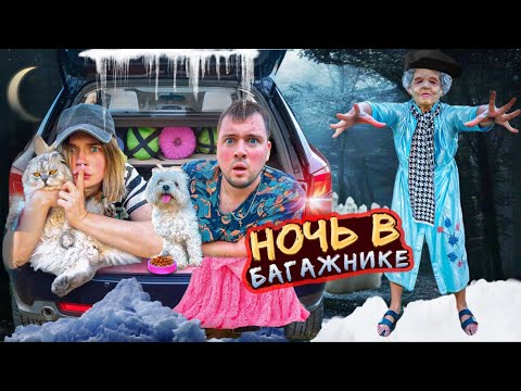 Видео: НОЧЬ В МАШИНЕ С КОТОМ И СОБАКОЙ | СБЕЖАЛИ ОТ КЛАВДИИ
