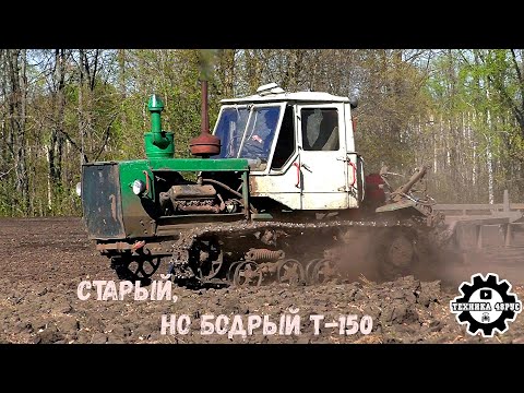 Видео: Гусеничный ХТЗ Т-150 еще советского выпуска в деле. Работает с гибкой бороной БГ-12