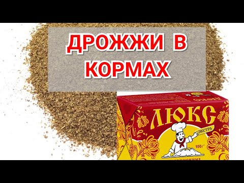 Видео: ДРОЖЖИ В КОРМАХ. Кормовые и хлебопекарные.