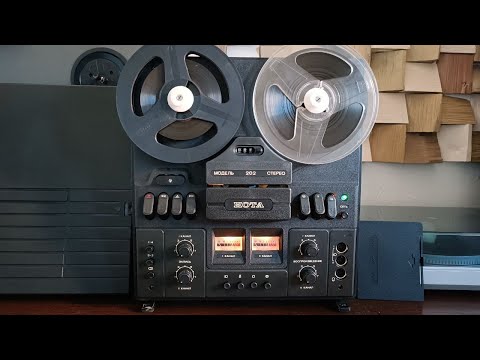 Видео: НОТА 202 РЕДКОСТЬ! ИДЕАЛЬНОЕ СОСТОЯНИЕ!