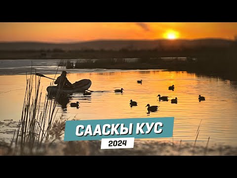 Видео: СААСКЫ КУС - 2024