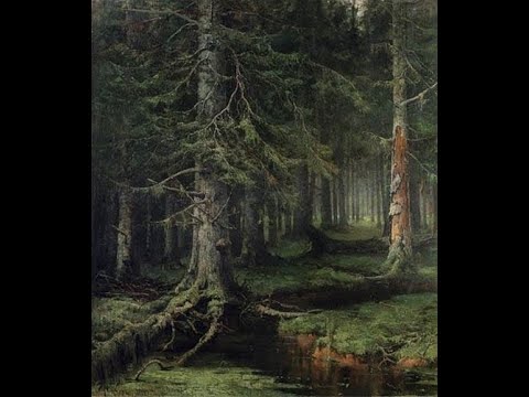 Видео: Случай в лесу.