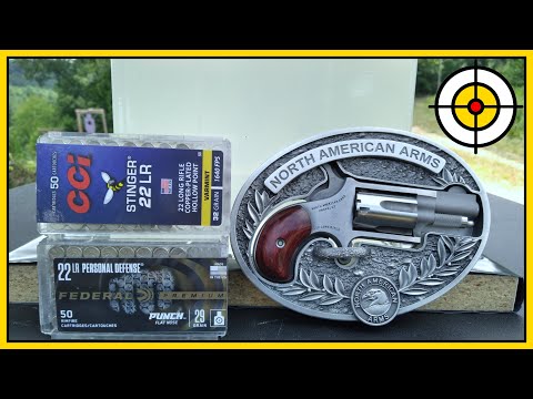 Видео: Могучий Мышонок или Малыш Тим? Тест NAA .22LR Mini Revolver на баллистический гель! Federal Punch...
