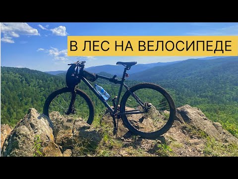 Видео: В лес на ДЕШМАНСКОМ ГОРНИКЕ | ЗАБЛУДИЛАСЬ В ЛЕСУ @BelayaVorona777