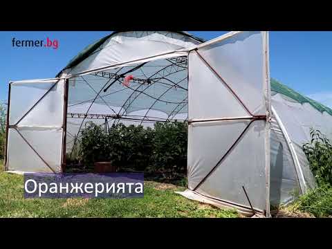 Видео: Трънливият път към оранжерийното производство