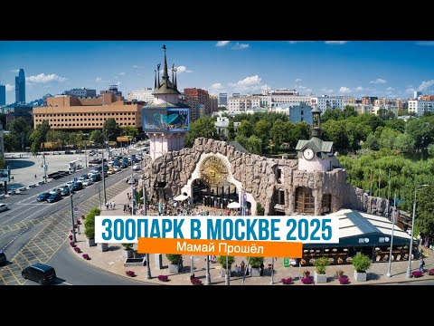 Видео: Катюша и Ко (Московский зоопарк 2025)
