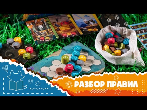 Видео: Гармония. Полные правила настольной игры (How to play Harmonies)