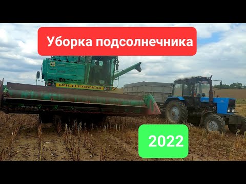 Видео: ОПА. УБОРКА подсолнечника 2022 03.08.22