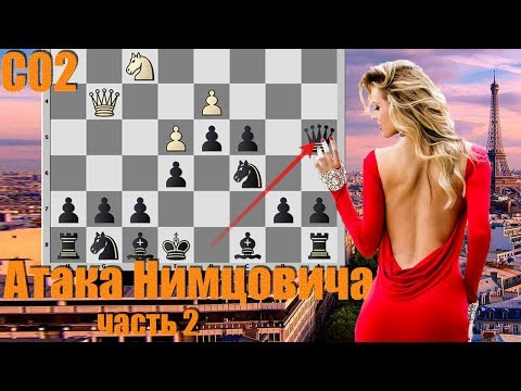 Видео: Французская защита за чёрных. Атака Нимцовича. Часть 2. Шах ферзём