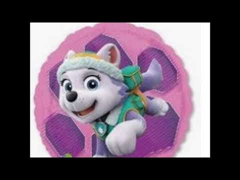 Видео: Эверест и Маршал заказ