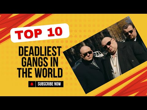 Видео: Дэлхийн Топ 10 онц аюултай гэмт бүлэглэлүүд