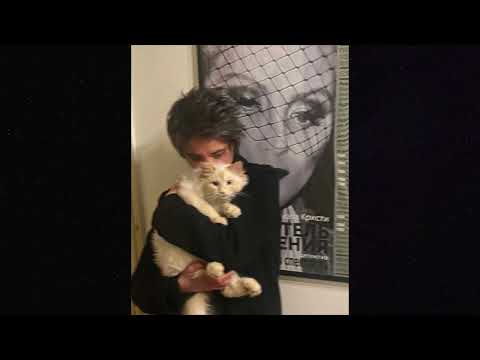 Видео: ♡земфира - ариведерчи speed up/nightcore♡